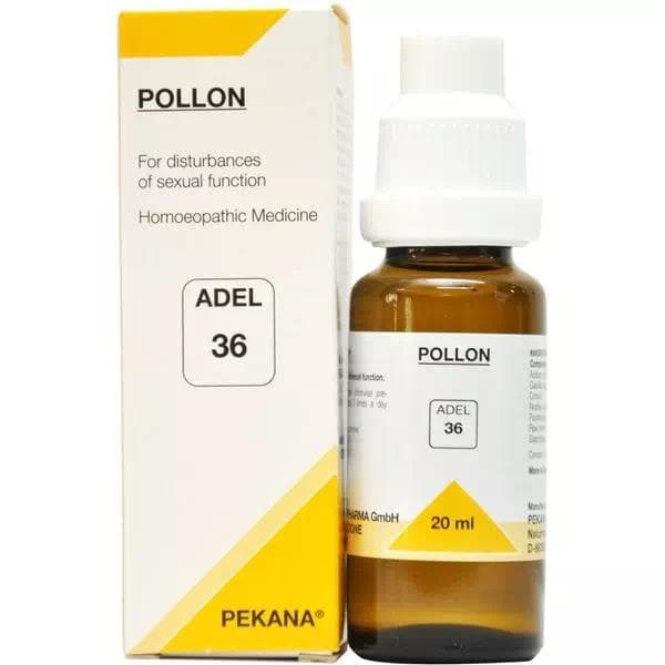 Adel 36 Pollon