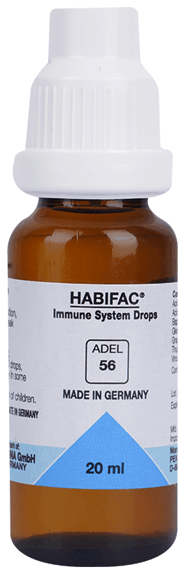 Adel 56 Habifac 4