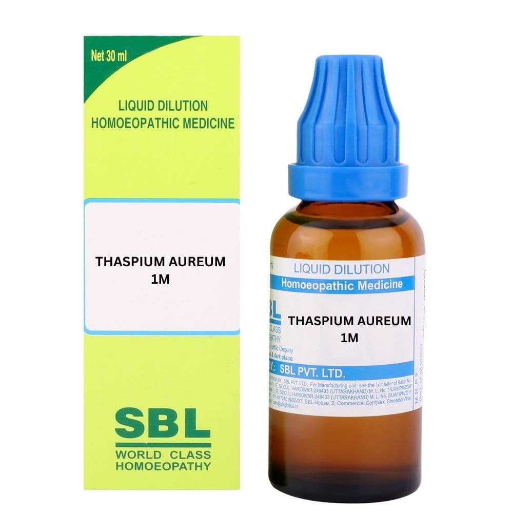 Thaspium Aureum
