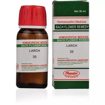 Larch
