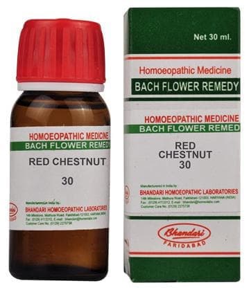 Redchestnut