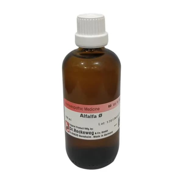 Alfalfa