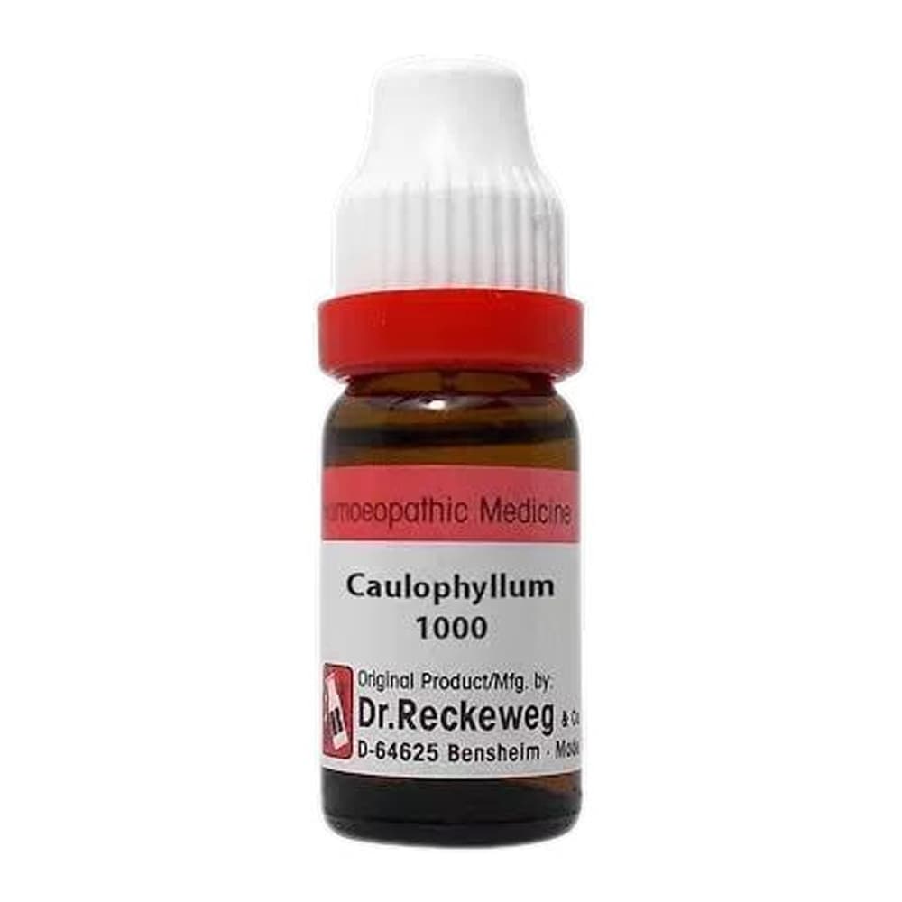 Caulophyllum Thalictroides