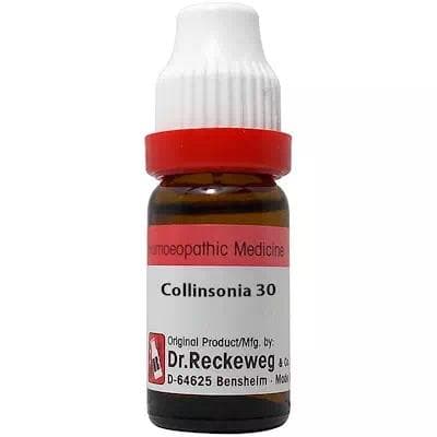 Collinsonia Canadensis