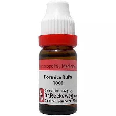 Formica Rufa 1