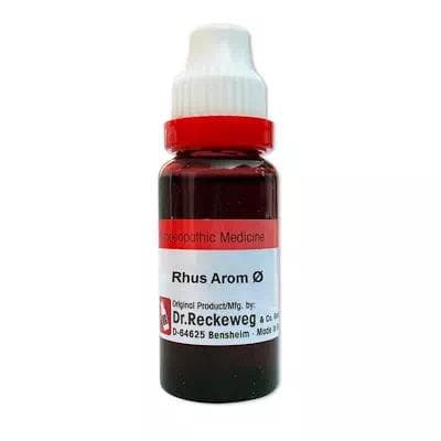 Rhus Aromatica 1