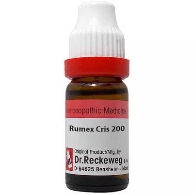 Rumex Crispus 1