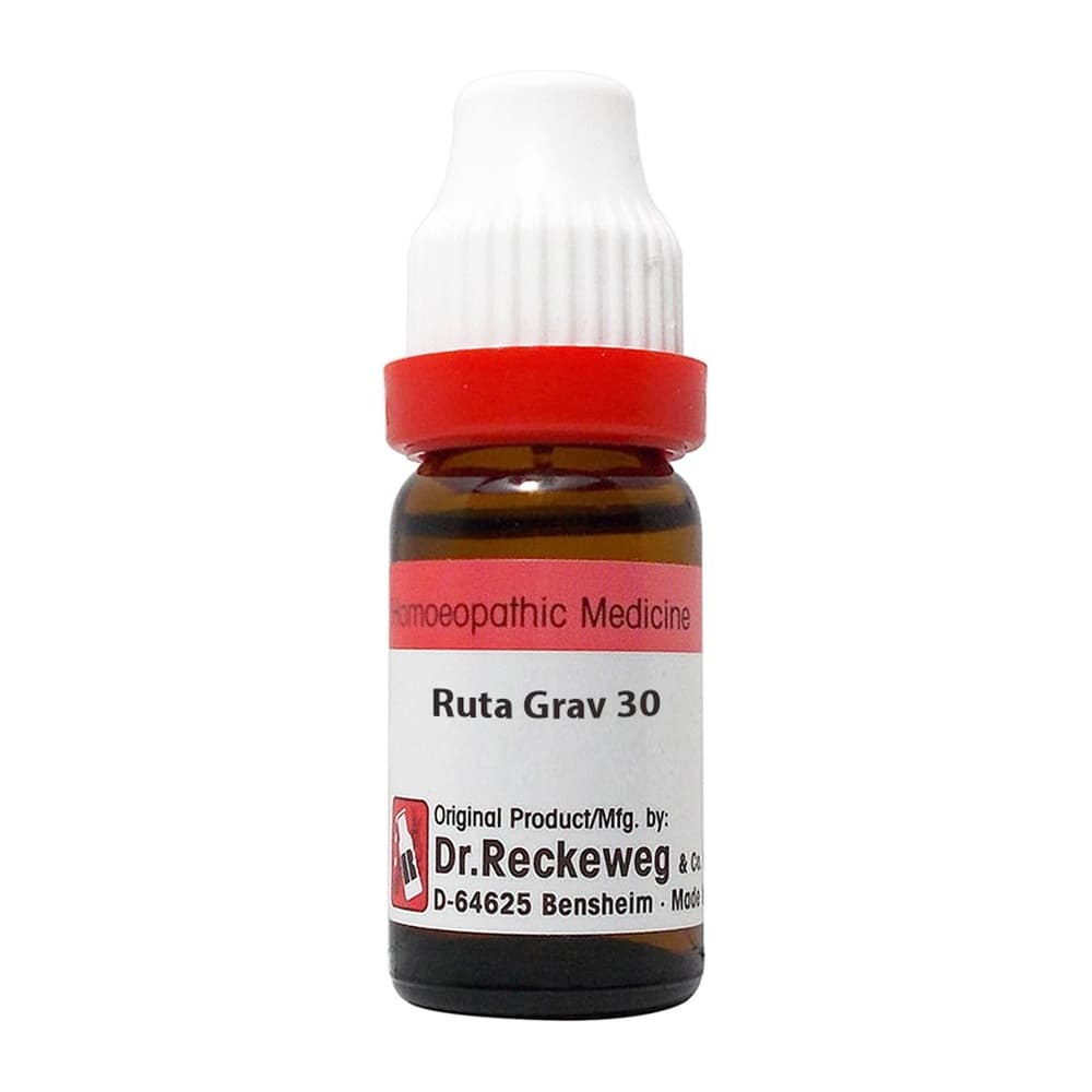Ruta Graveolens