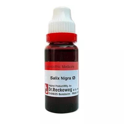 Salix Nigra 1