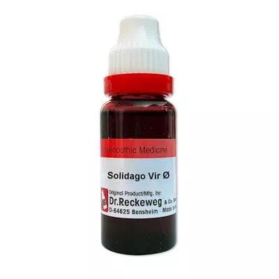 Solidago Virgaurea
