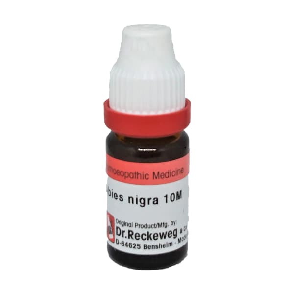 Abies Nigra