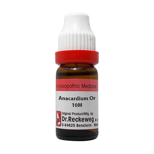 Anacardium Orientale