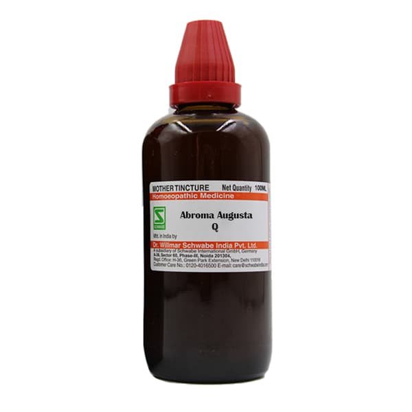 Abroma Augusta 2