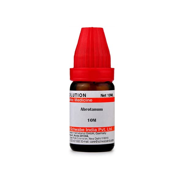 Abrotanum