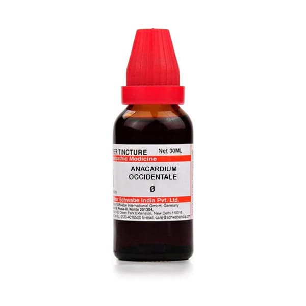 Anacardium Occidentale 2
