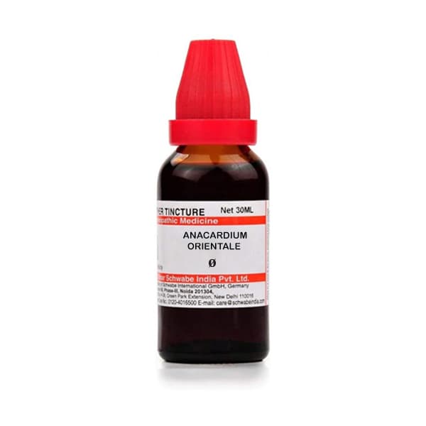 Anacardium Orientale 2