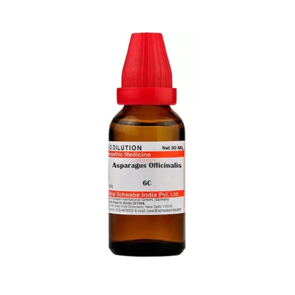 Asparagus Officinalis