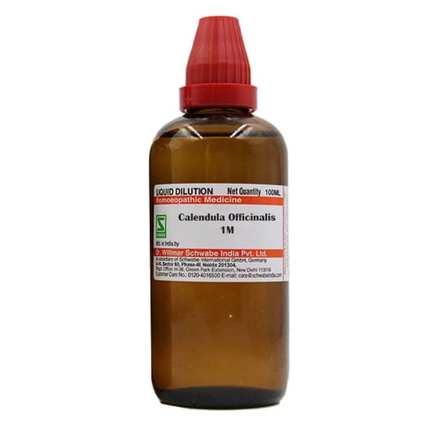 Calendula Officinalis