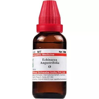 Echinacea Angustifolia
