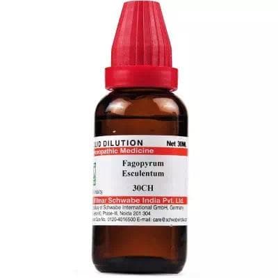 Fagopyrum Esculentum