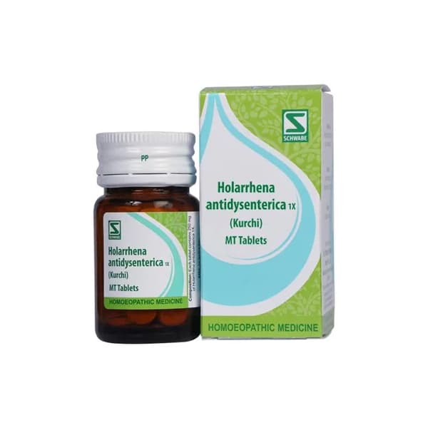 Holarrhena Antidysenterica