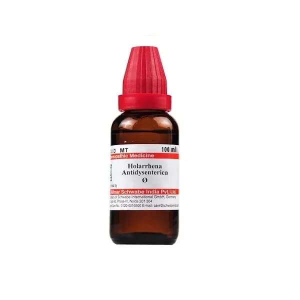 Holarrhena Antidysenterica