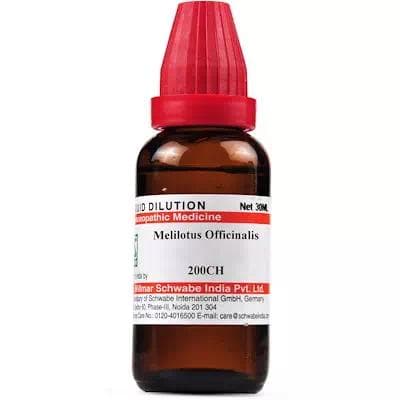 Melilotus Officinalis