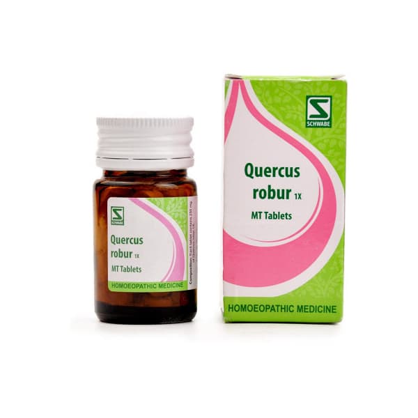 Quercus Robur