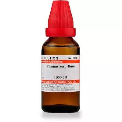 Thymus Serpyllum 1