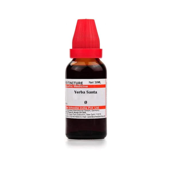 Yerba Santa
