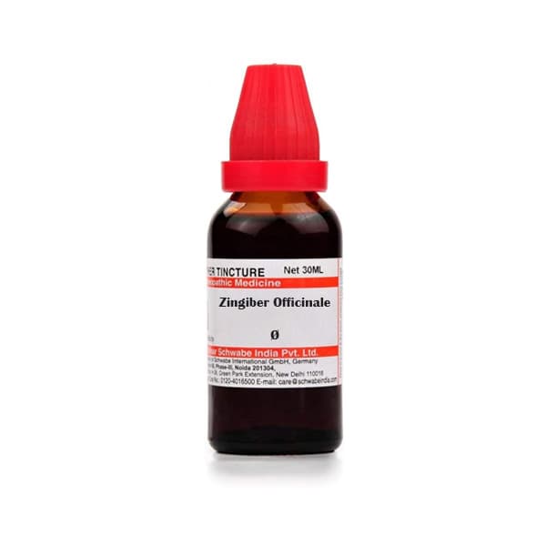 Zingiber Officinale