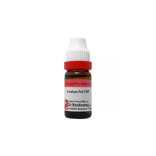 Ledum Palustre