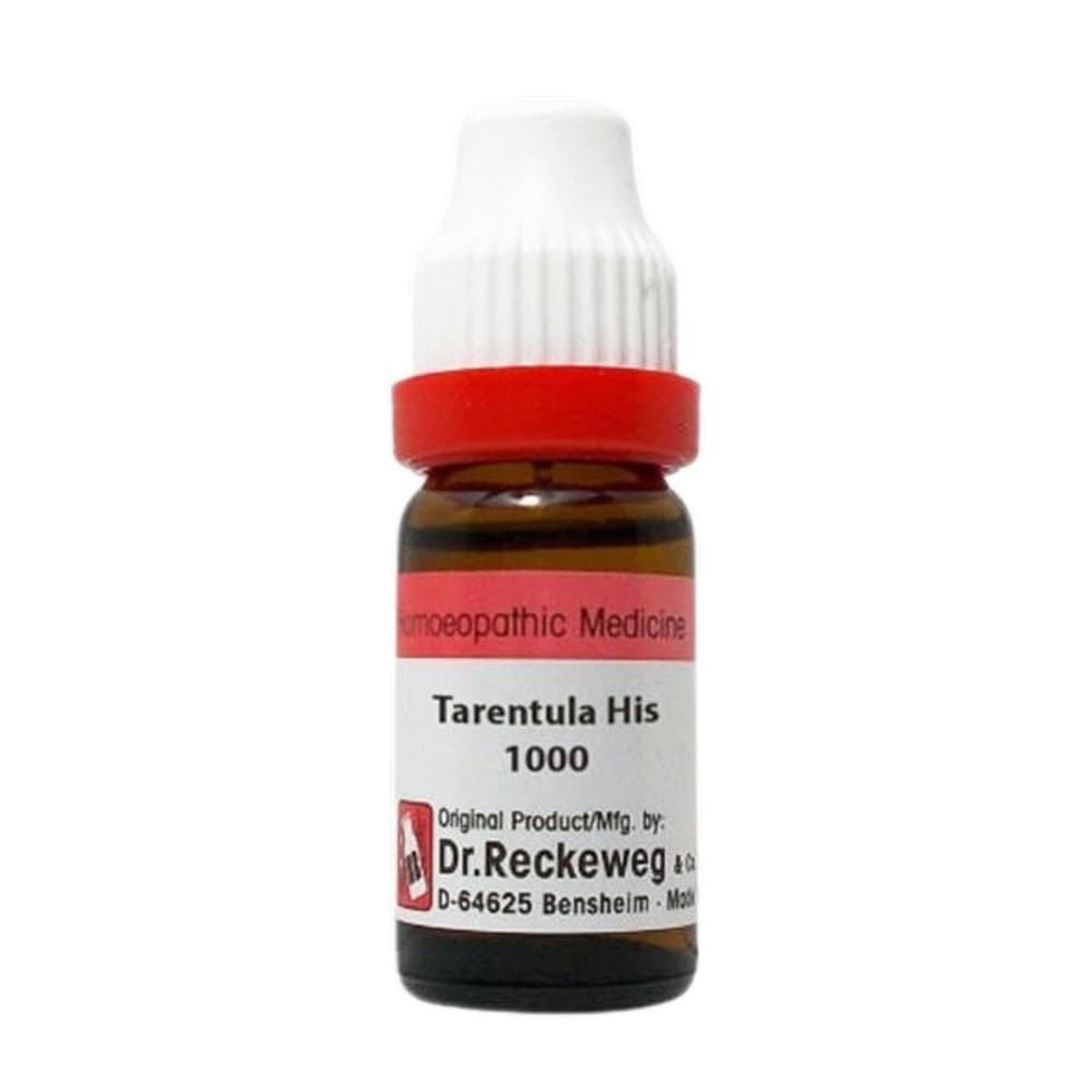 Tarentula Hispana