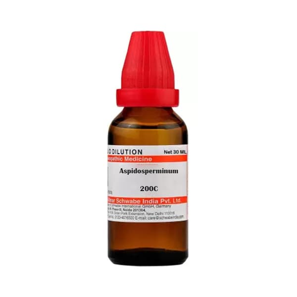Aspidosperminum 1