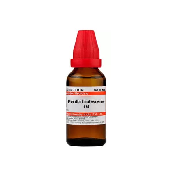 Perilla Frutescens 1