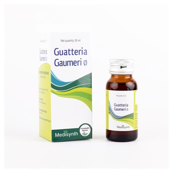 Guatteria Gaumeri 2