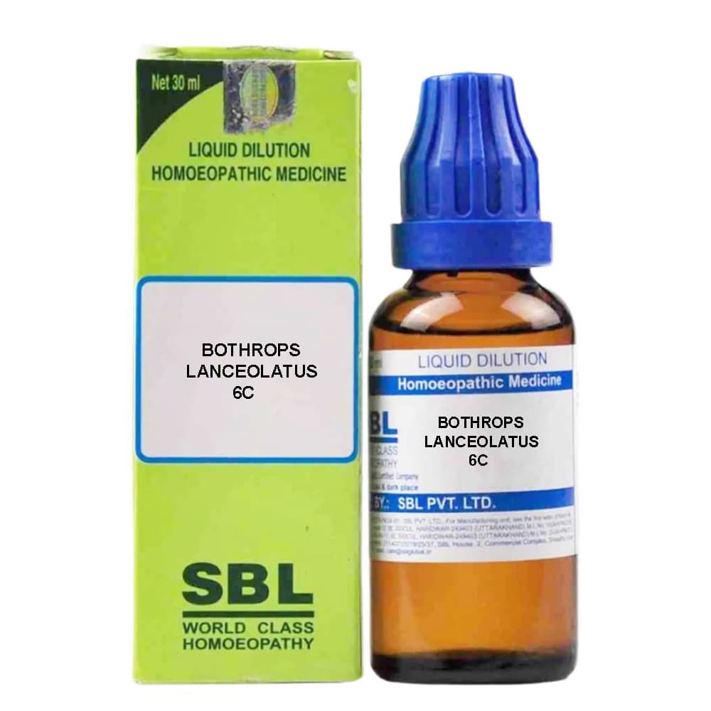 Bothrops Lanceolatus