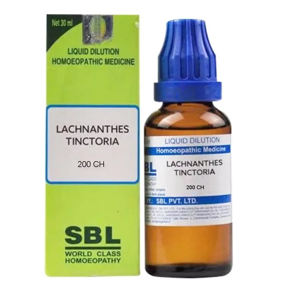 Lachnanthes Tinctoria