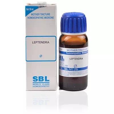 Leptandra