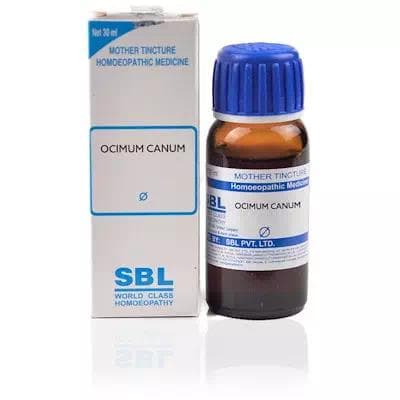 Ocimum Canum