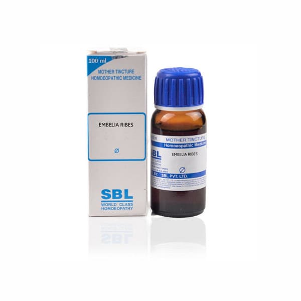 Embelia Ribes