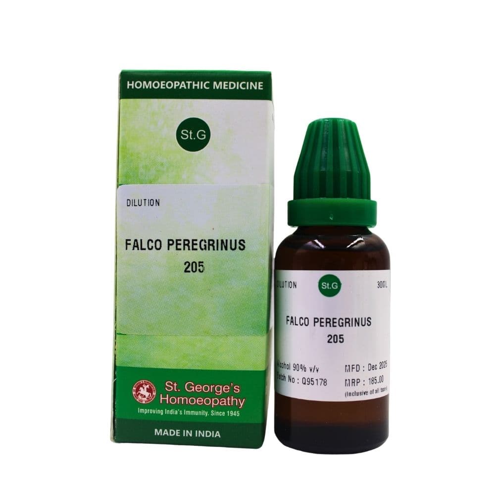 Falco Peregrinus