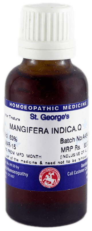 Mangifera Indica 2