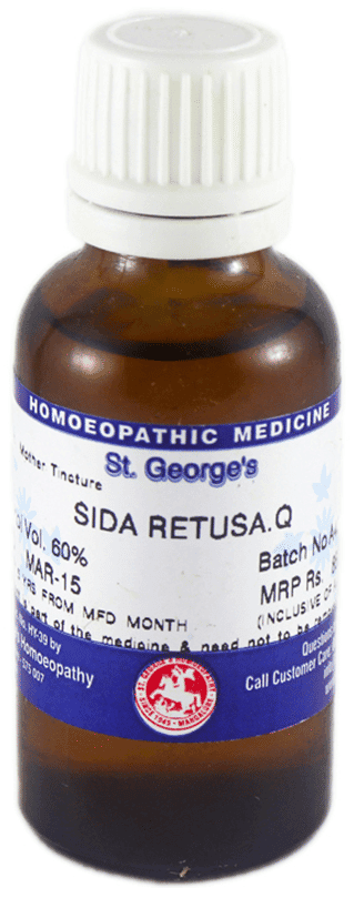 Sida Retusa 2
