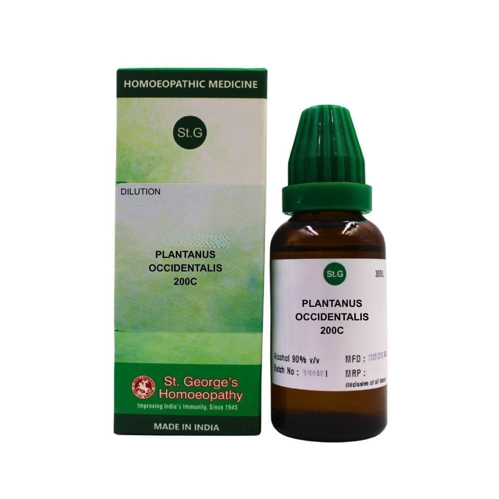 Plantanus Occidentalis