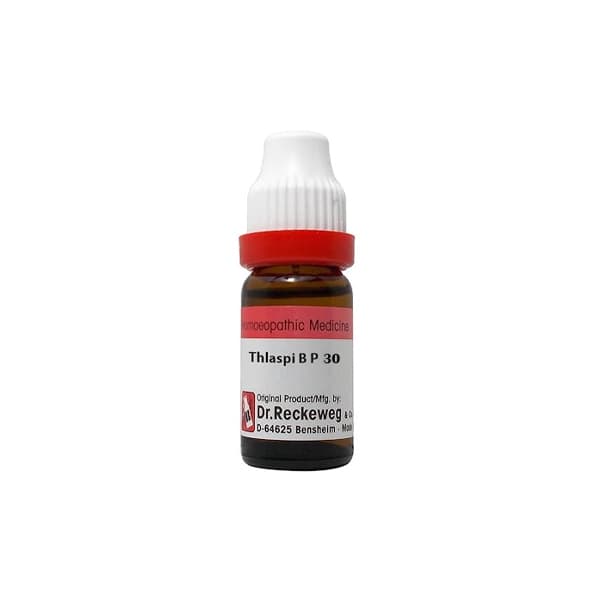 Thlaspi Bursa Pastoris