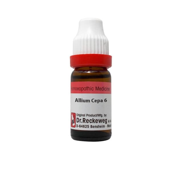 Allium Cepa