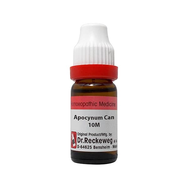 Apocynum Cannabinum