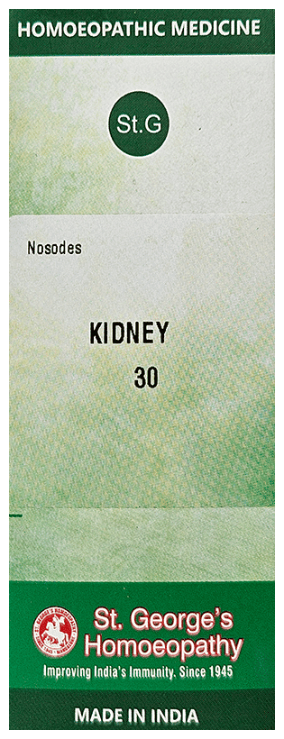 Kidney