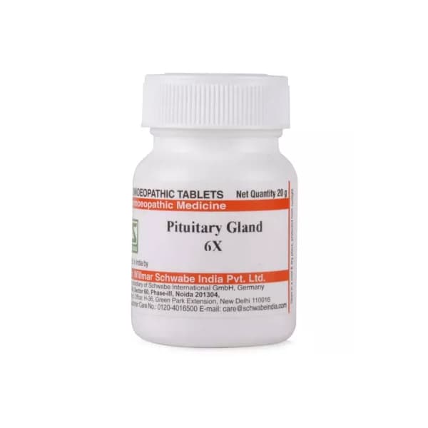 Pituitary Gland 2